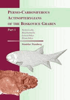 Permo-Carboniferous actinopterygians of the Boskovice Graben 1 Neslovicella, Bourbonnella, ...