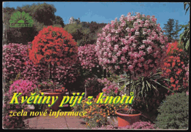 Květiny pijí z knotů Zcela nové informace Boskovice Boskowitz