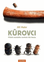 Kůrovci Hmyz Bezobratlí Entomologie