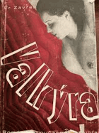 Valkýra Román ze současného života