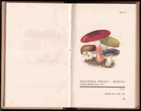 Atlas holubinek Houby Mykologie