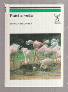 Ptáci a voda