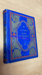 Rytíř se železnou pěstí 2 Levoboček z Mauléonu