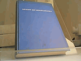 Mozart - Ein Künstlerleben Roman