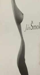 Katalog výstavy Pražský dům fotografie, Praha 11. 5.-25. 6. 2000, Galerie Jána Šmoka, Jihlava ...