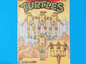 Teenage Mutant Hero Turtles 12