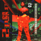 Strictly 4 My Niggaz