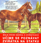 Obálka