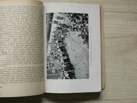 HENLEIN HITLER Československá tragedie