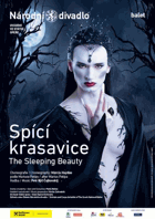 Spící krasavice.The sleeping beauty