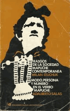 Rasgos de la sociedad mapuche contemporanea