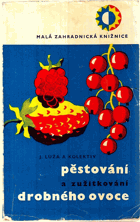 Pěstování a zužitkování drobného ovoce
