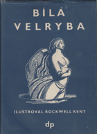 Bílá velryba