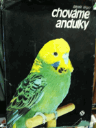 Chováme andulky