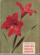 Květiny našich domovů