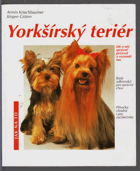 Yorkšírský teriér - jak o něj správně pečovat a porozumět mu